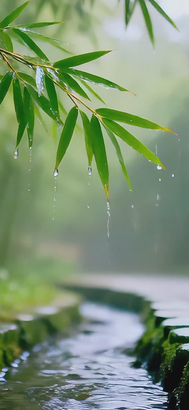 下雨竹林