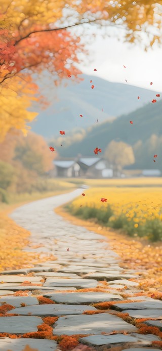 秋天的风景