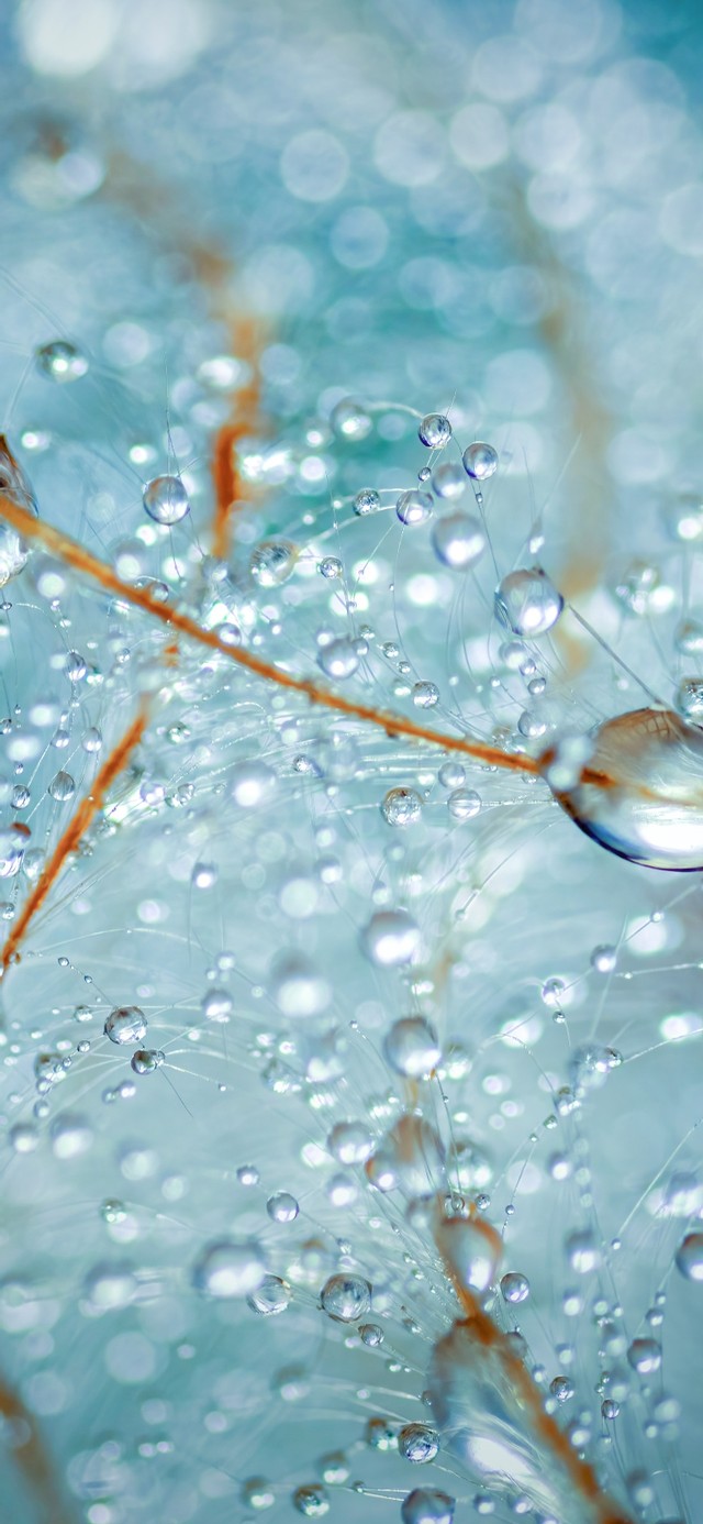 水滴绿色护眼壁纸