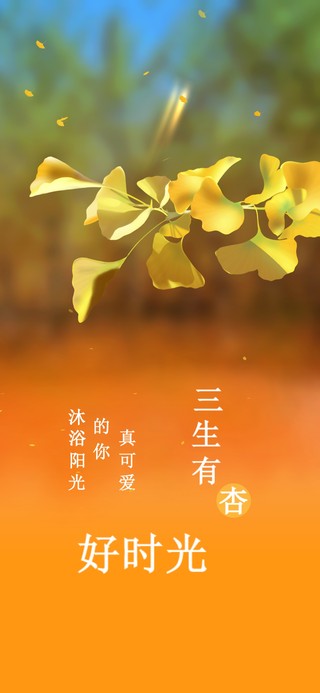 莫负好时光 银杏简约唯美治愈系
