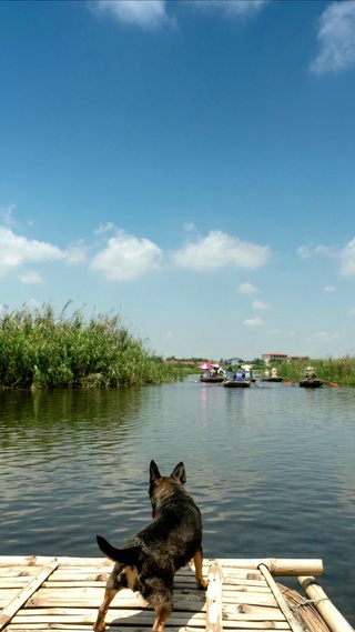 浮生偷得半日闲