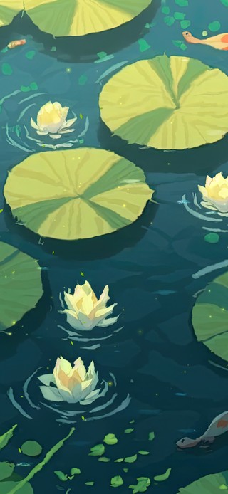夏天荷花