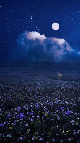 星河花海
