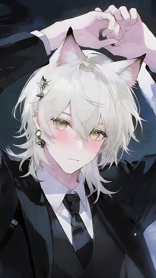 羽翼狐少年