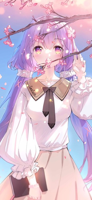 定情樱花