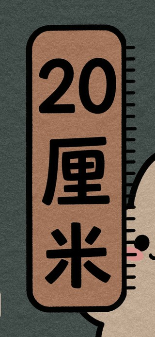 20厘米