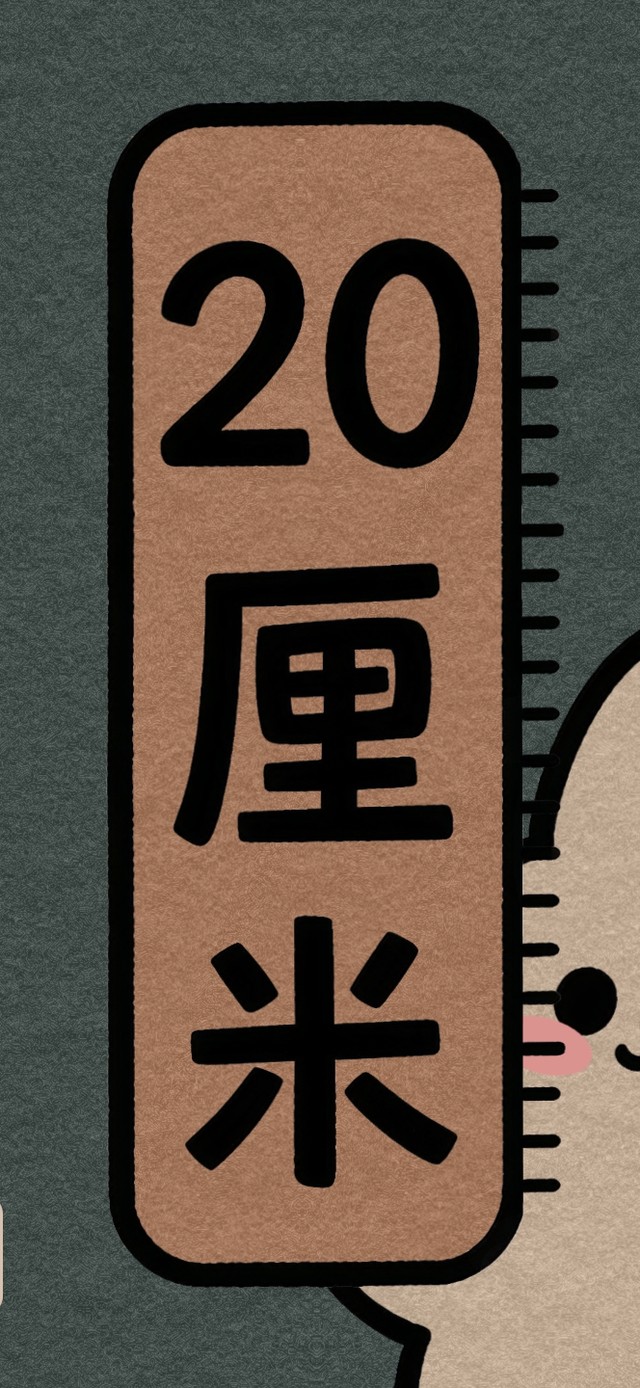 20厘米