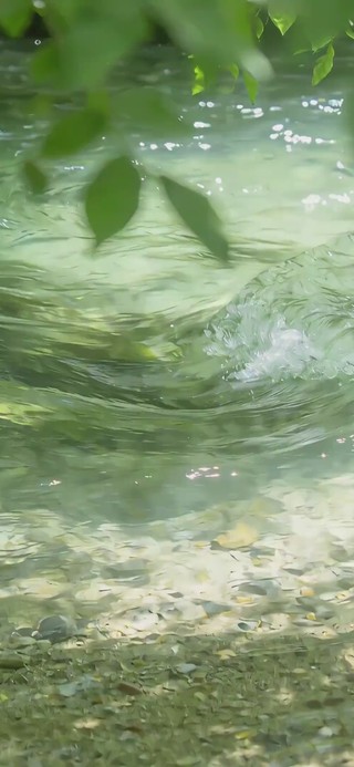 微风拂过夏天