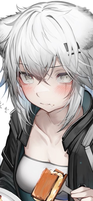 4k猫猫少女