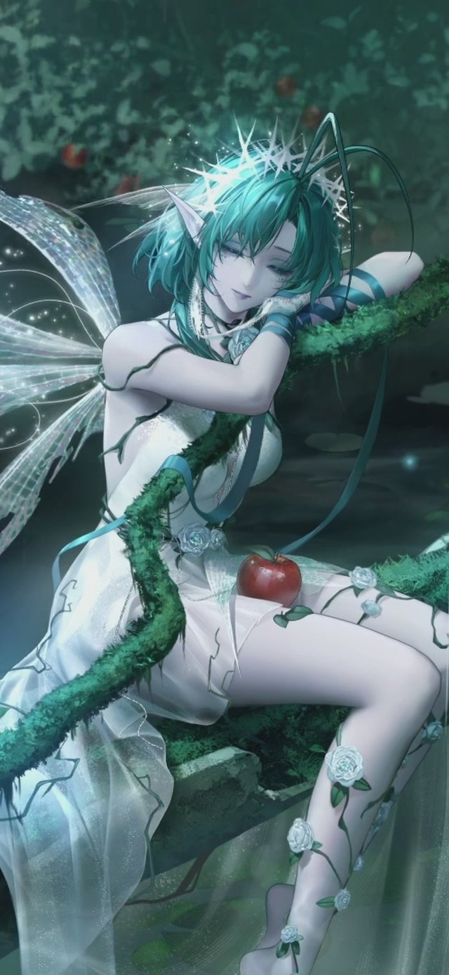 曼缇斯 深林傍影