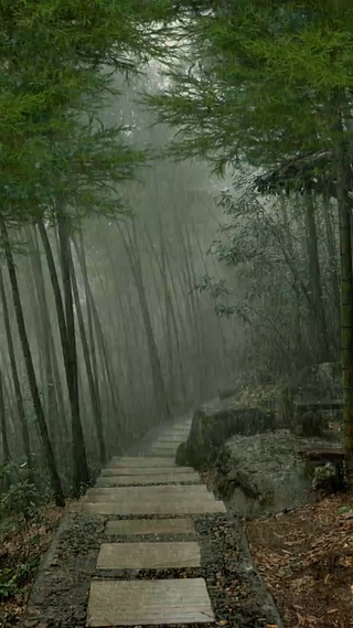 竹杖芒鞋轻胜马，一蓑烟雨任平生