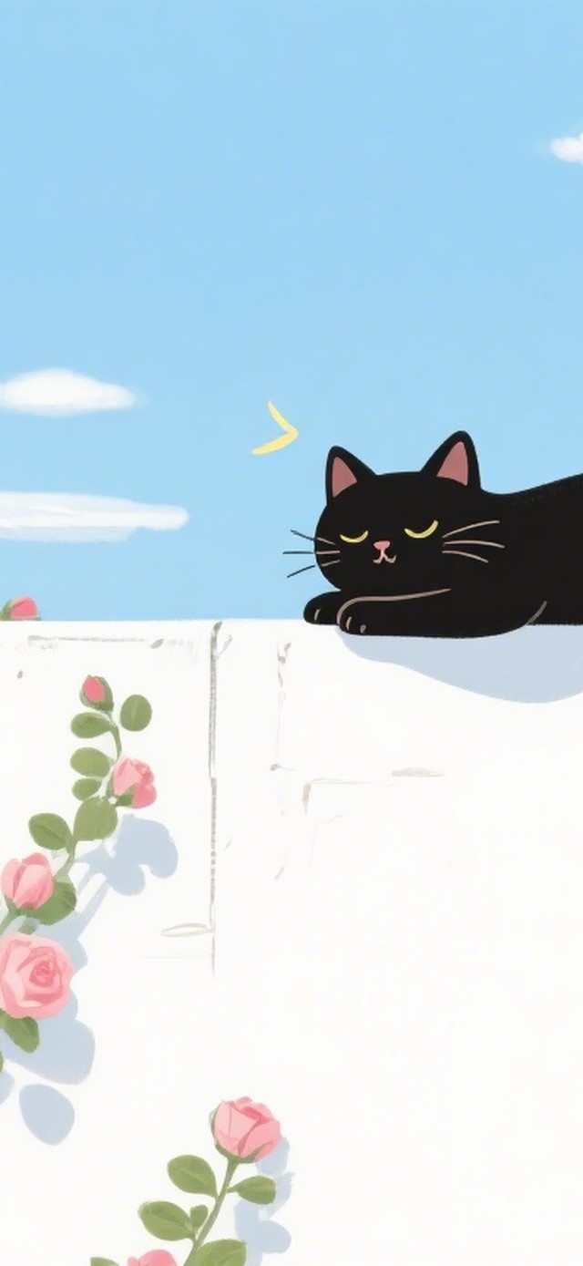 墙头上的黑猫咪