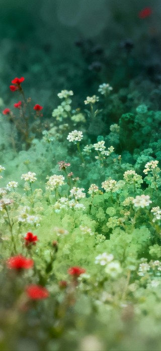 待到山花烂漫时。