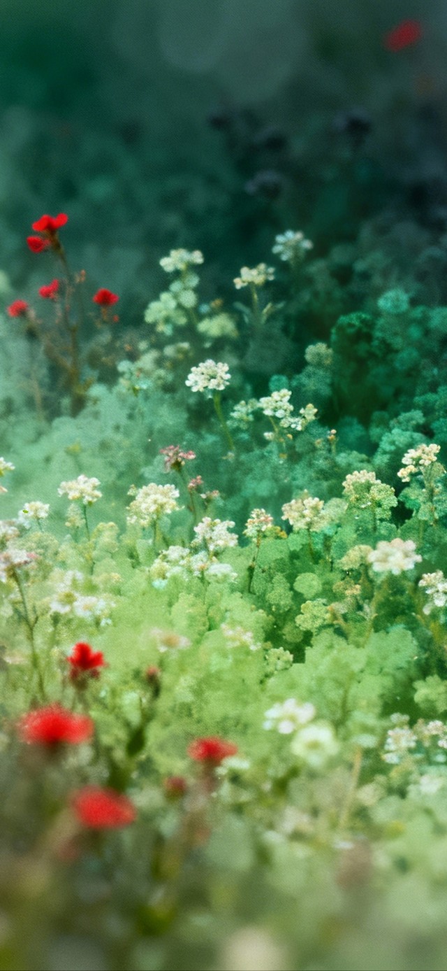 待到山花烂漫时。