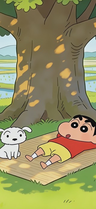 悠闲的夏日生活