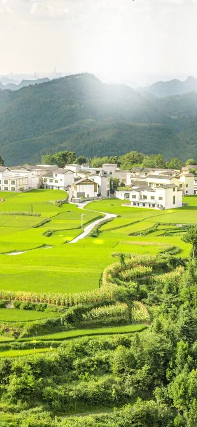 超治愈乡村气息