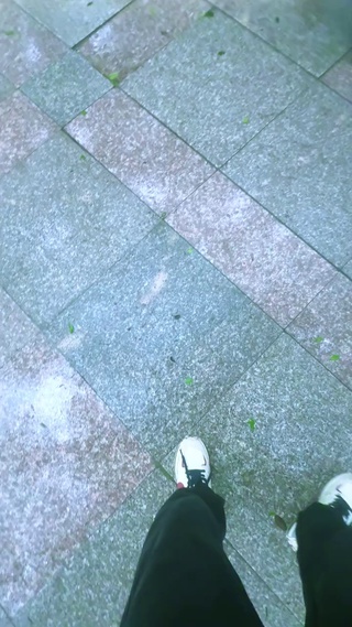 大自然中的树木