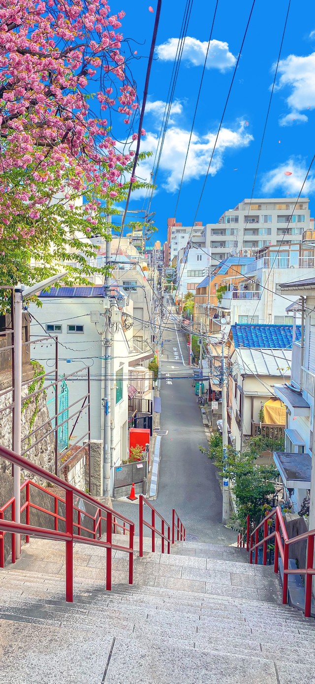 4K唯美治愈日系樱花城市街道