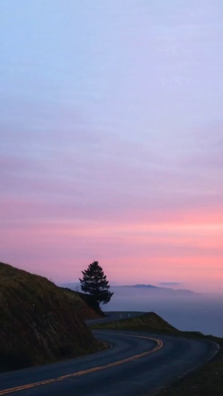 风景