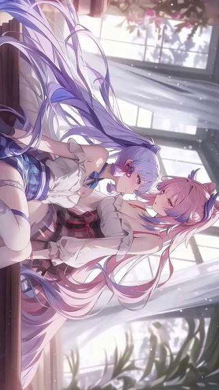 神里绫华心海丨佳人相伴丨