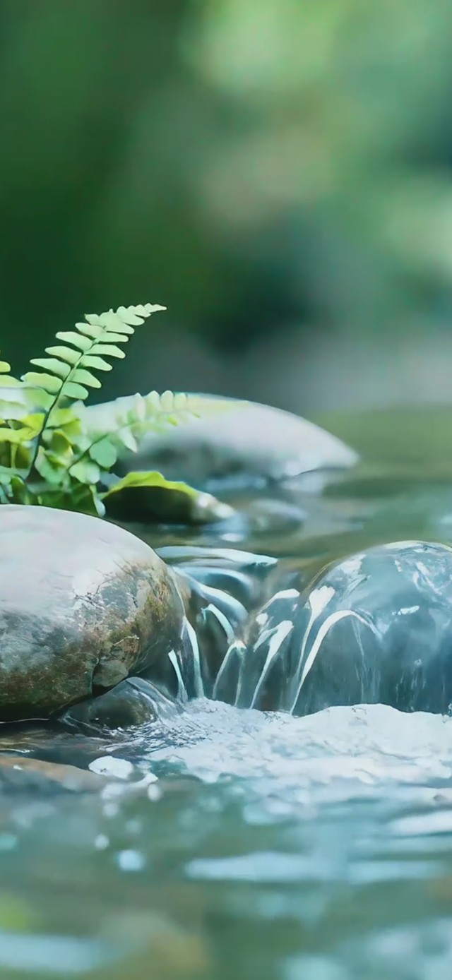 小溪流水