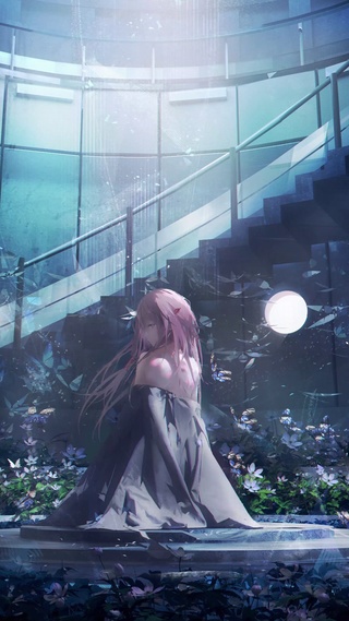 蝶