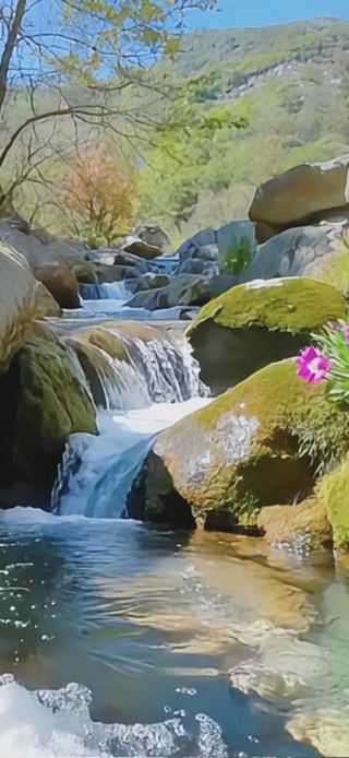 清澈溪水