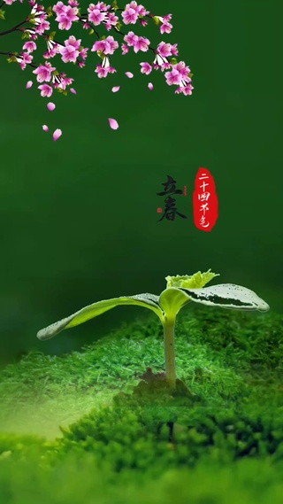 风景