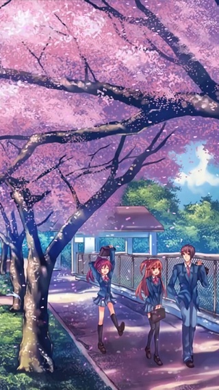 樱花街道