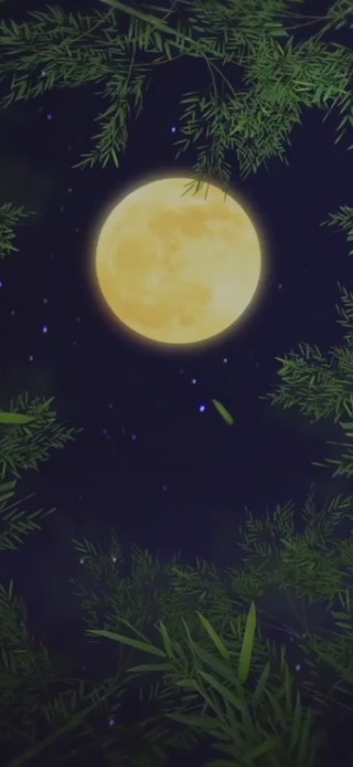 竹林圆月
