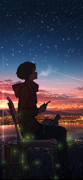 少年-星空与猫