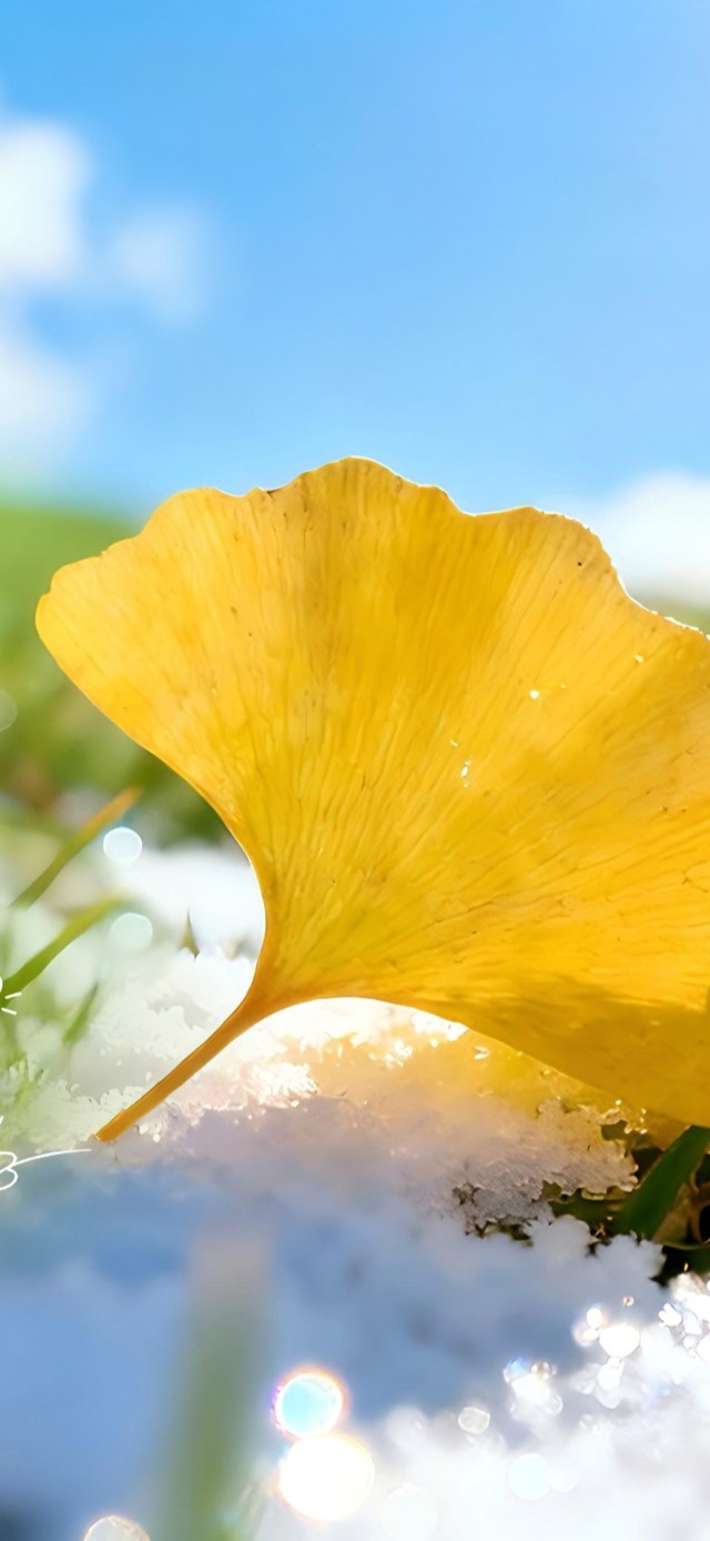 12月心中有暖手里有金