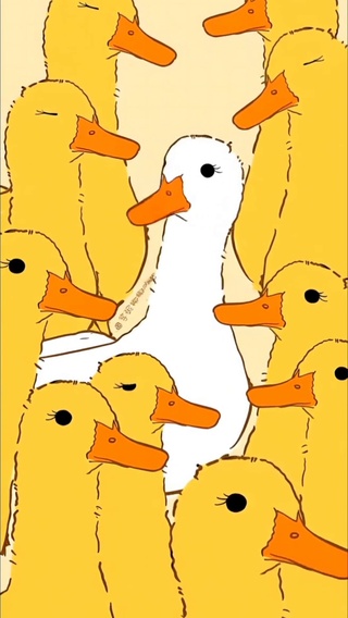 鸭子