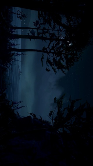海边的夜晚