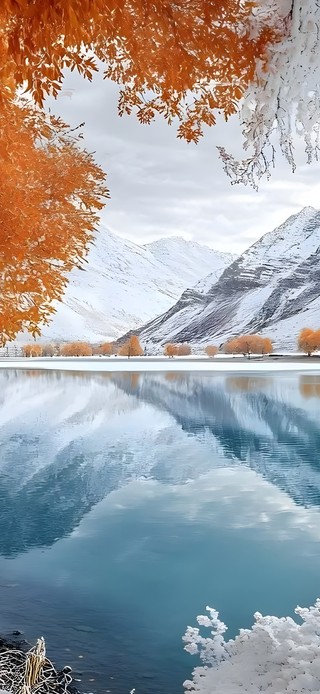 唯美的雪景