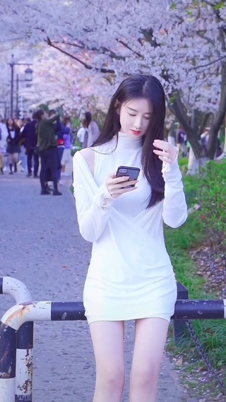 樱花树下的美女 