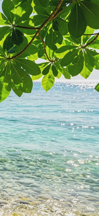 静谧护眼海景