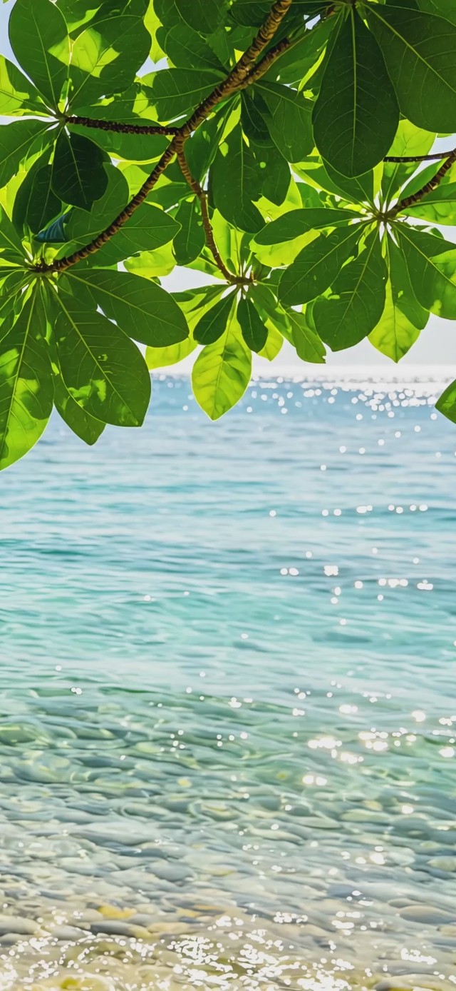 静谧护眼海景