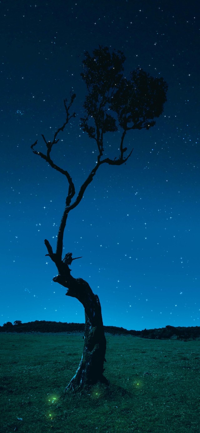 4k漫天繁星