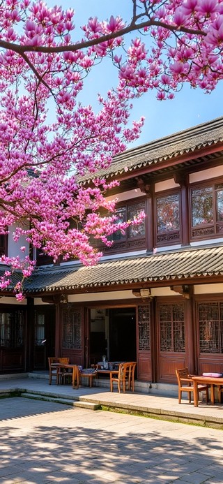 玉兰花开