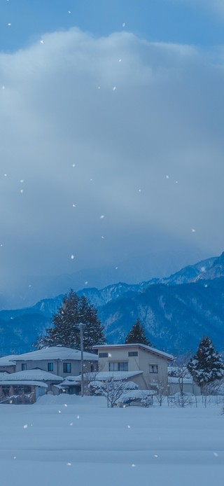 唯美治愈下雪天风景