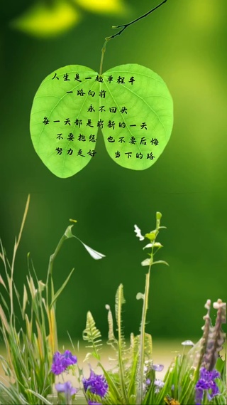 人生啊