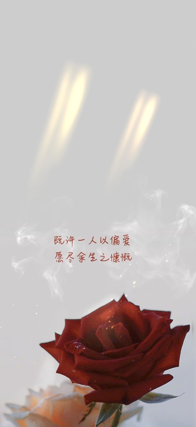 4k 一人以偏爱 余生之慷慨