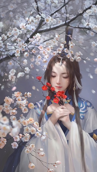 古风插画美女
