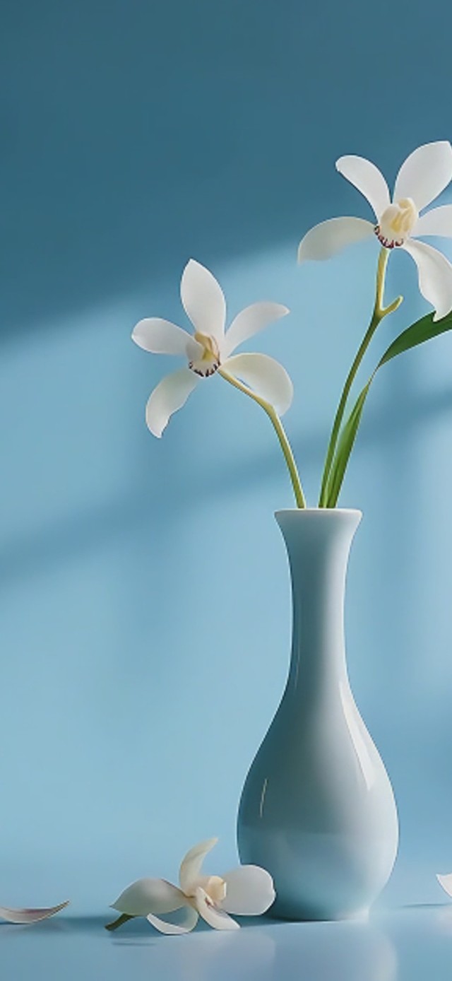 清新小花桌面