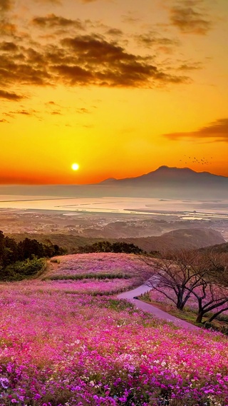 日落晚霞风景