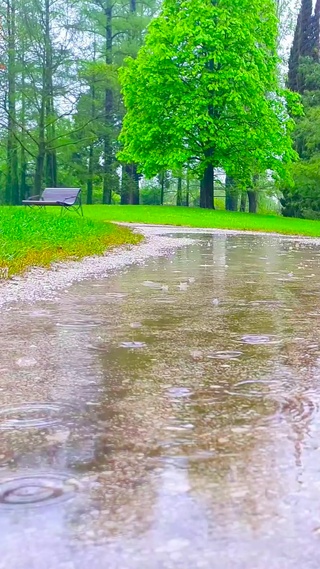 夏日清凉雨天小路