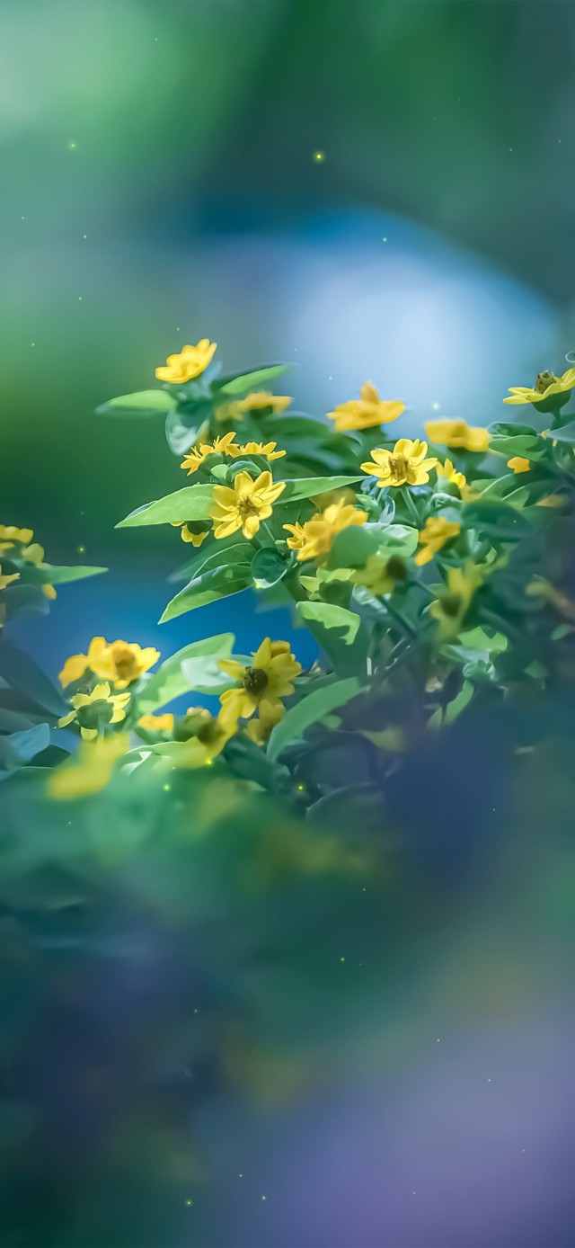 4K唯美治愈清新绿叶