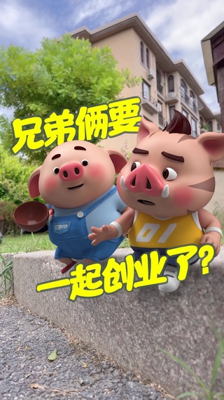 猪小屁-一起创业
