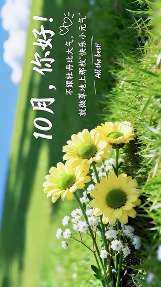 10月壁纸-元气小雏菊